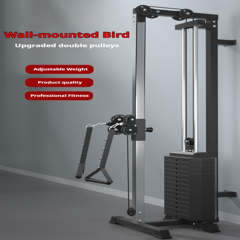 Vertical Leg Press - الطيور الطائرة على الحائط مع آلة