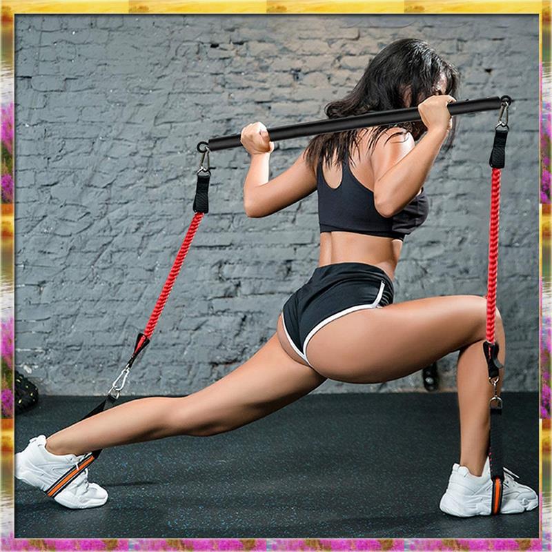 قضيب تمارين قابل للفصل بأسعار  - مراجعة Home Gym Budget وسعره