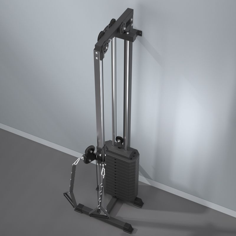 الطيور الطائرة على الحائط مع آ - مراجعة Vertical Leg Press وسعره